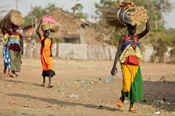 Investment promotion support for large Kenyan county