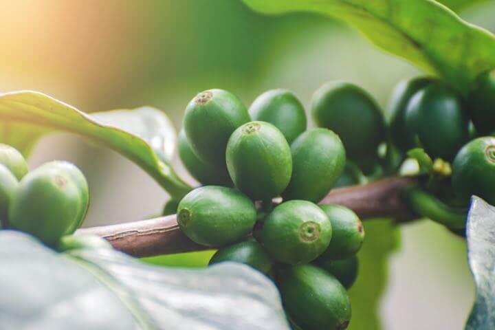 Partnership with USAID Trade & Investment Hub to support export-oriented SMEs