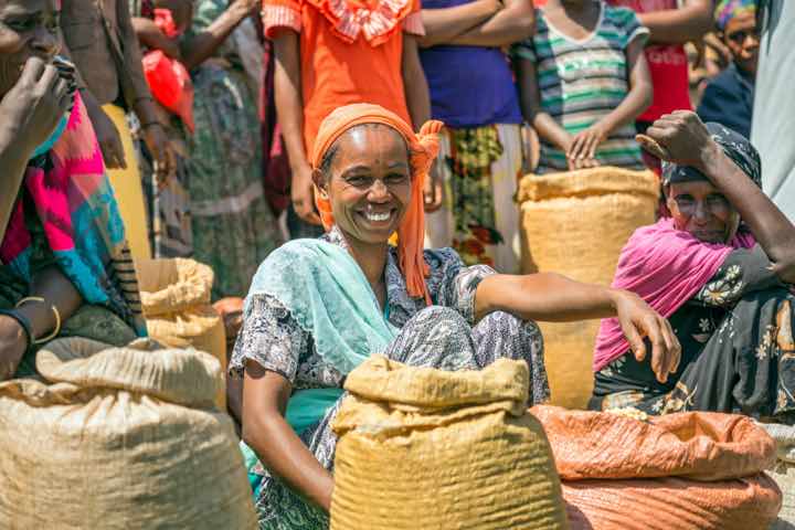 Strategic Investment Plans for 5 Kenyan Counties