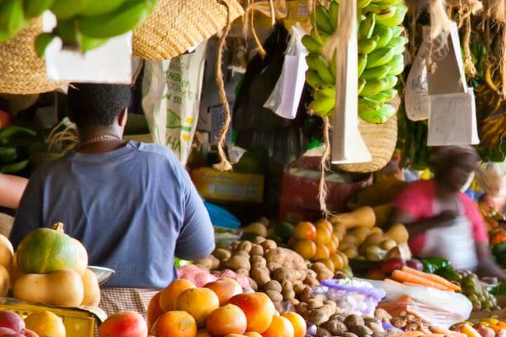 Study on nutrition sector for Bill & Melinda Gates Foundation